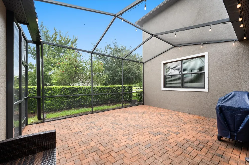 17616 TERRAZZO WAY Land O Lakes, FL 34638