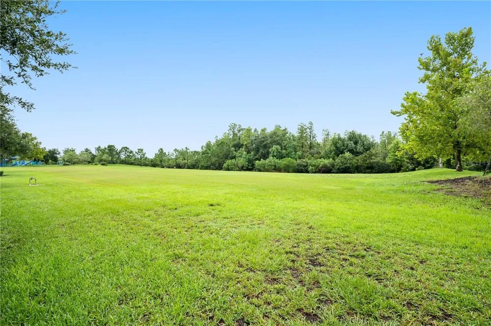 17616 TERRAZZO WAY Land O Lakes, FL 34638