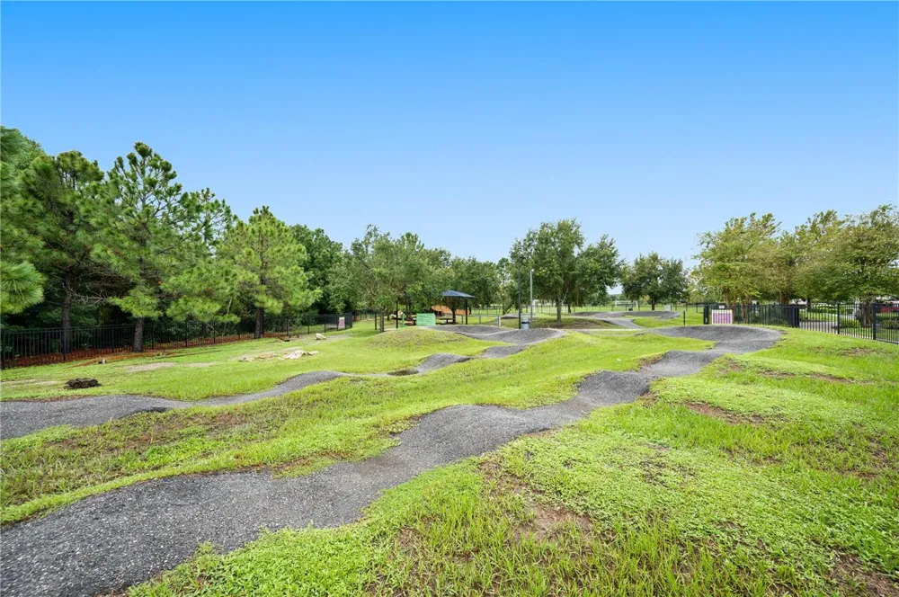 17616 TERRAZZO WAY Land O Lakes, FL 34638