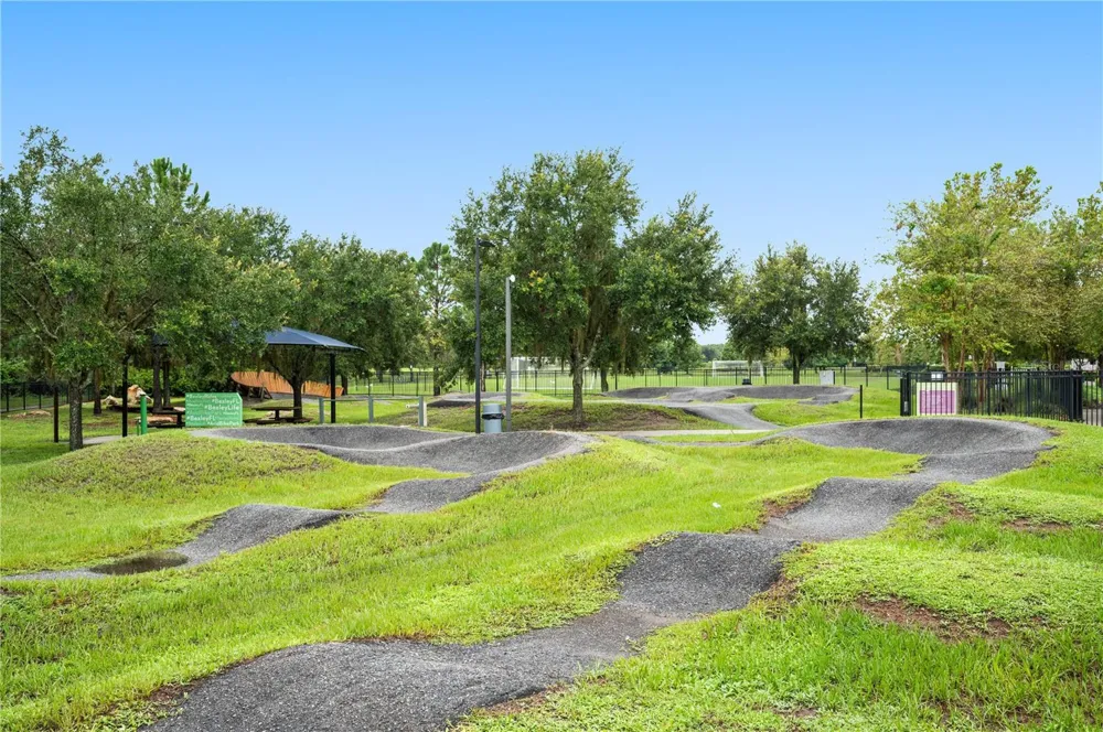 17616 TERRAZZO WAY Land O Lakes, FL 34638