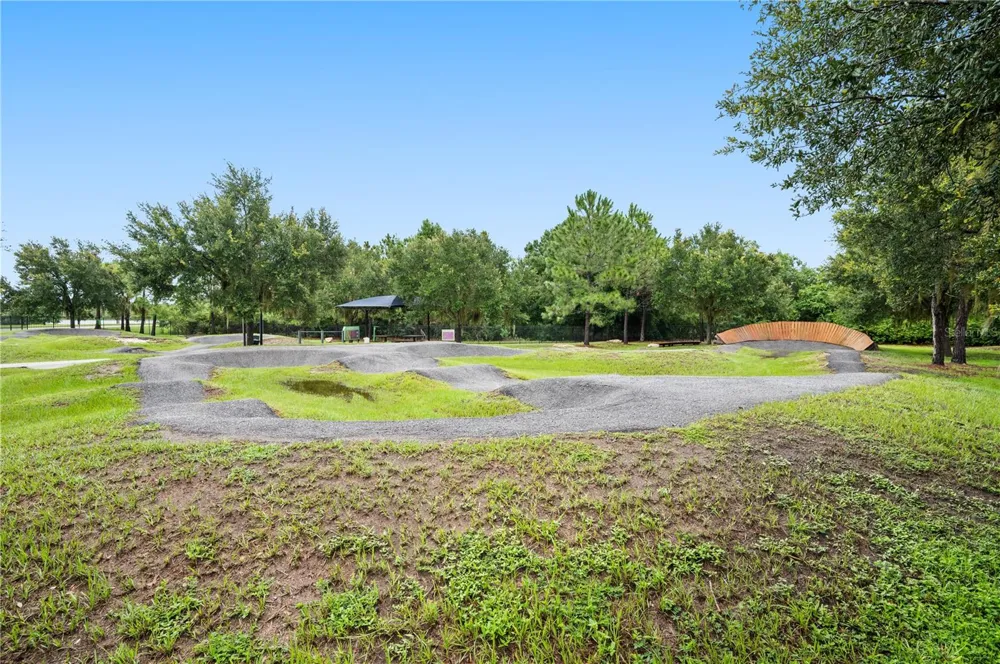 17616 TERRAZZO WAY Land O Lakes, FL 34638