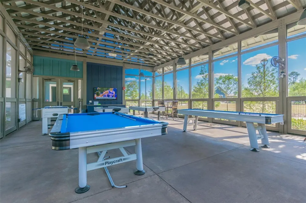 17616 TERRAZZO WAY Land O Lakes, FL 34638