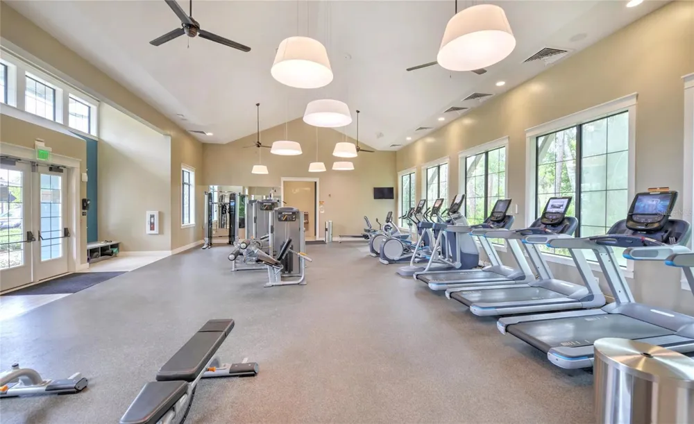 17616 TERRAZZO WAY Land O Lakes, FL 34638