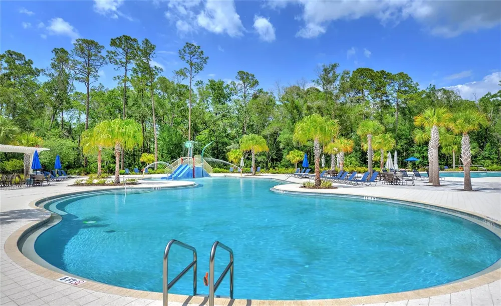 17616 TERRAZZO WAY Land O Lakes, FL 34638