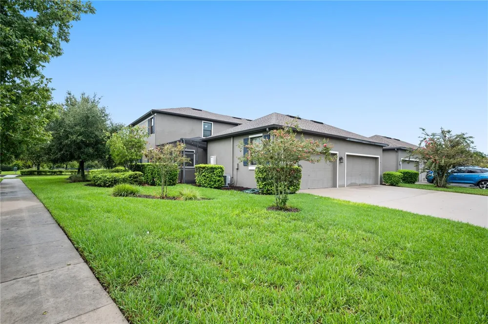 17616 TERRAZZO WAY Land O Lakes, FL 34638