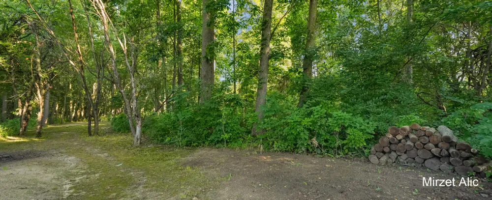 5220 Canyon River Drive NE Cannon Township, MI 49301