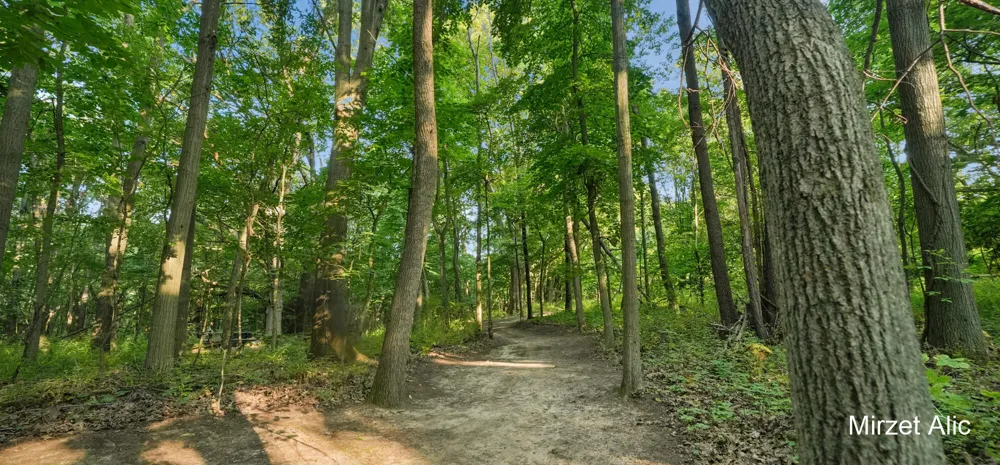 5220 Canyon River Drive NE Cannon Township, MI 49301