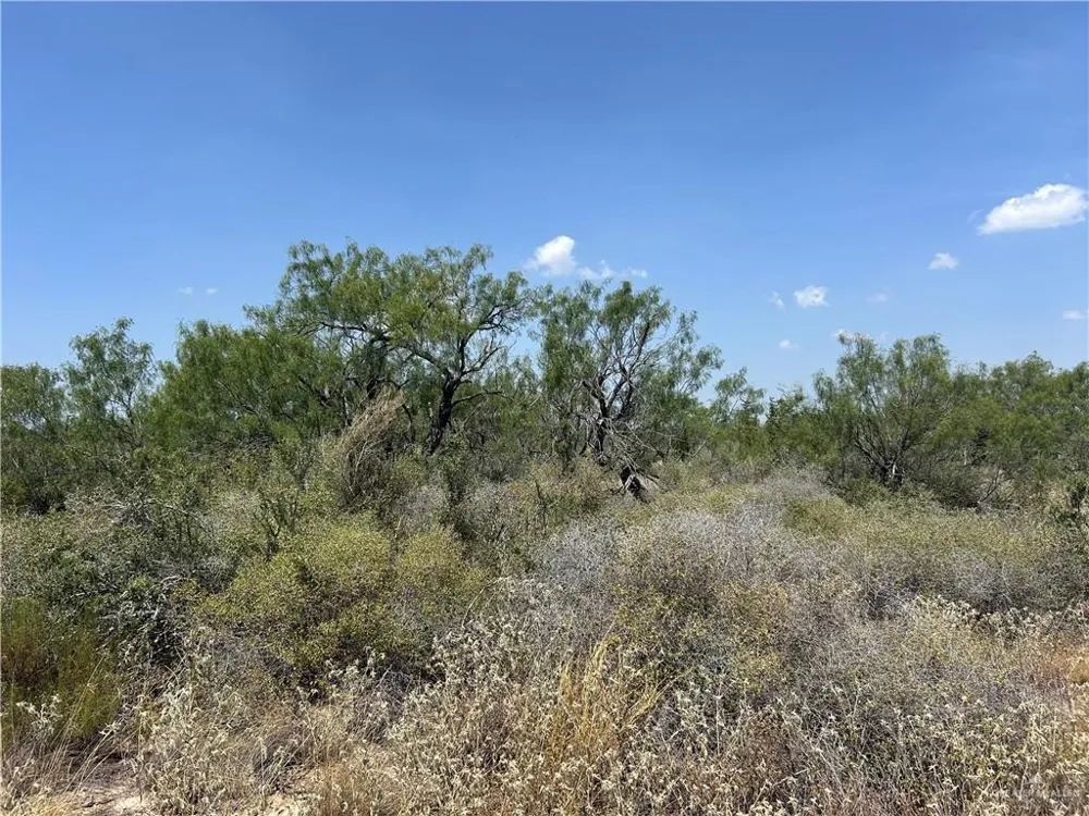 0000 Mendoza Road Zapata, TX 78076