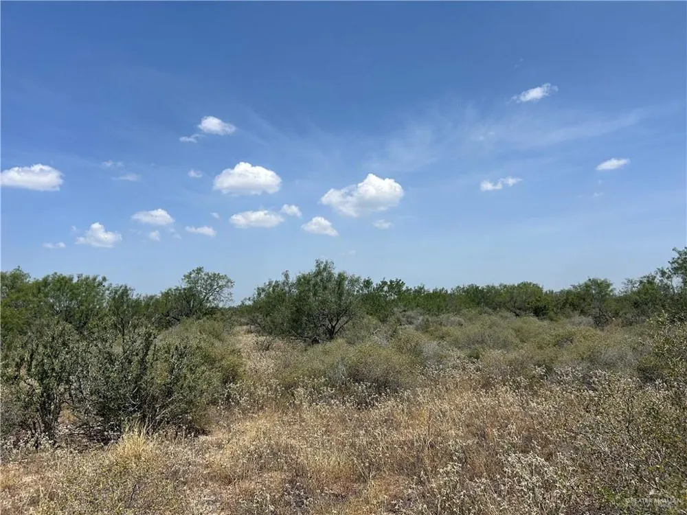 0000 Mendoza Road Zapata, TX 78076