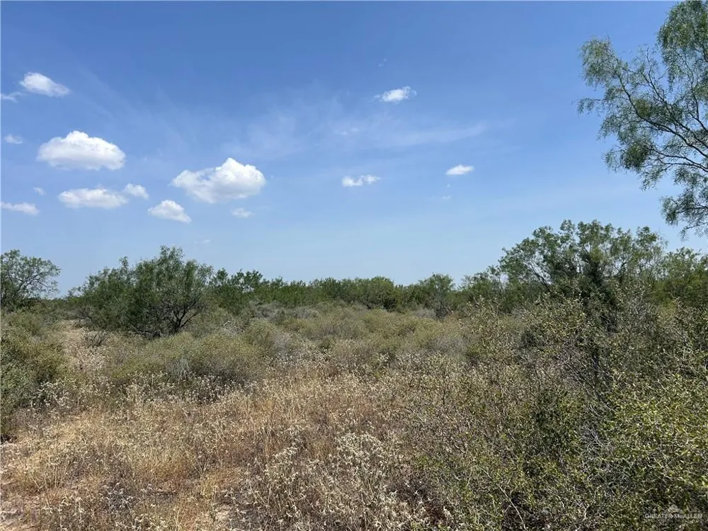 0000 Mendoza Road Zapata, TX 78076