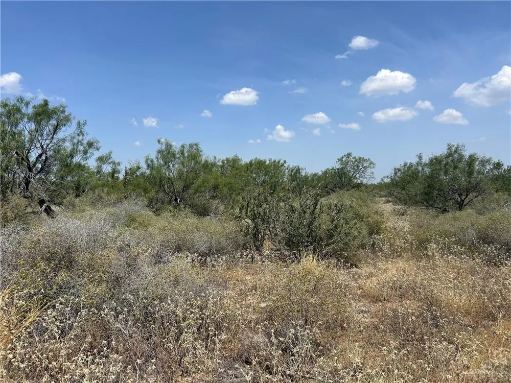 0000 Mendoza Road Zapata, TX 78076