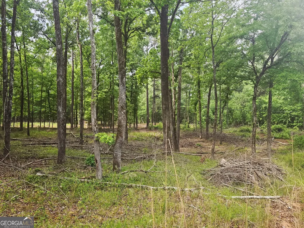 0 Island Creek Sparta, GA 31087