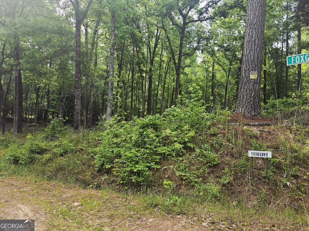 0 Island Creek Sparta, GA 31087