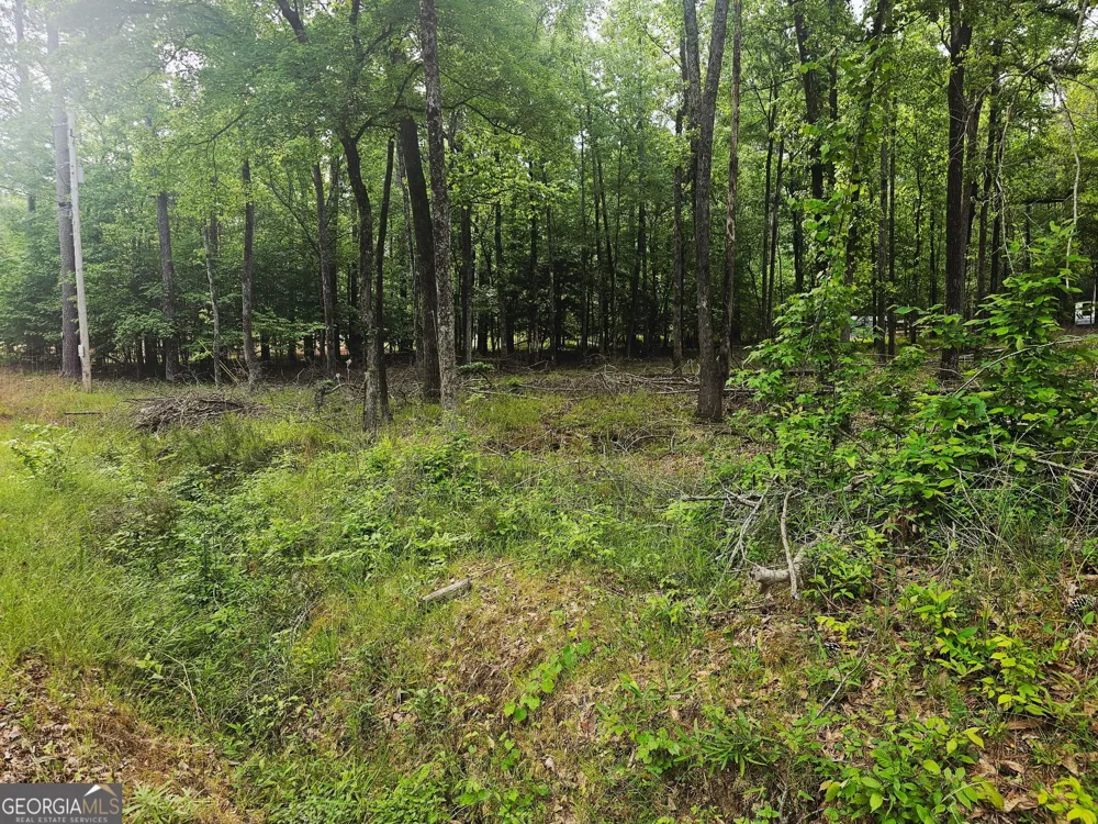 0 Island Creek Sparta, GA 31087
