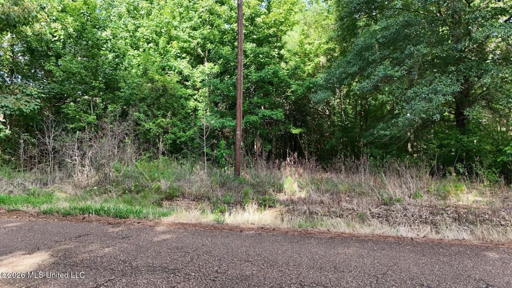1400 Kelly Crossing Road Coldwater, MS 38618