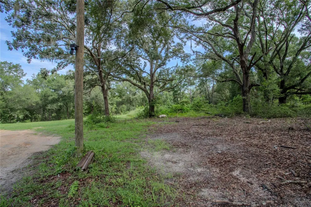 1776 ANDERSON LANE Lady Lake, FL 32159