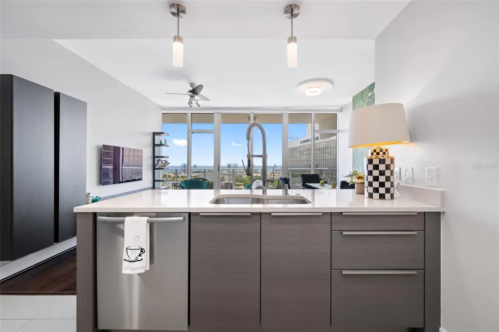 175 1ST STREET S #1204 St Petersburg, FL 33701