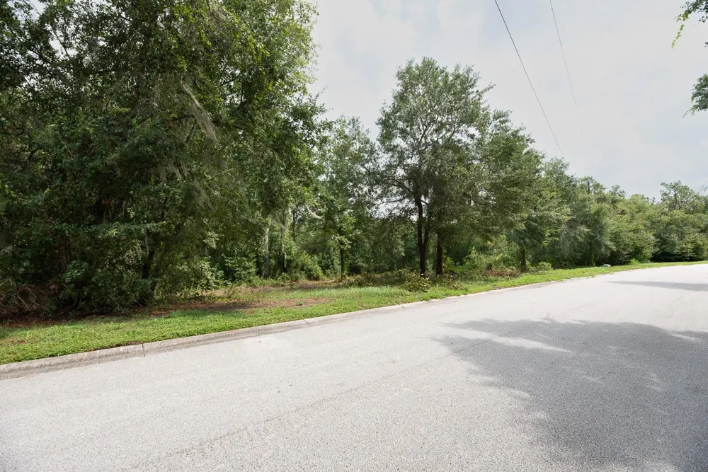 0 LAKE HILLS DRIVE Riverview, FL 33569