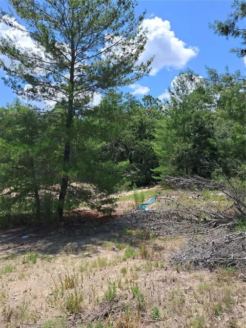 0 SW 65 AVE ROAD