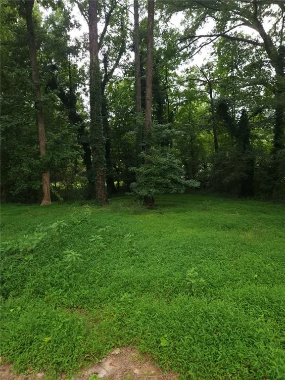 8257 Creekline Court Riverdale, GA 30274