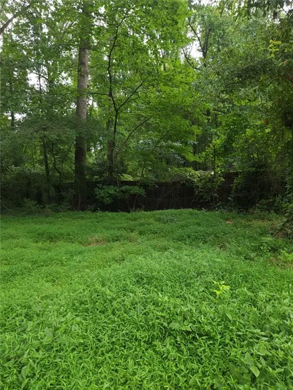 8257 Creekline Court Riverdale, GA 30274