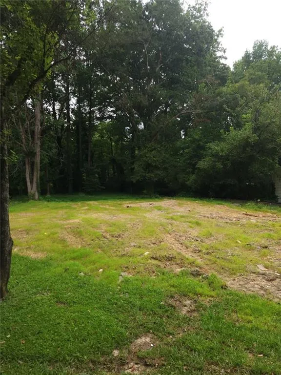 8257 Creekline Court Riverdale, GA 30274