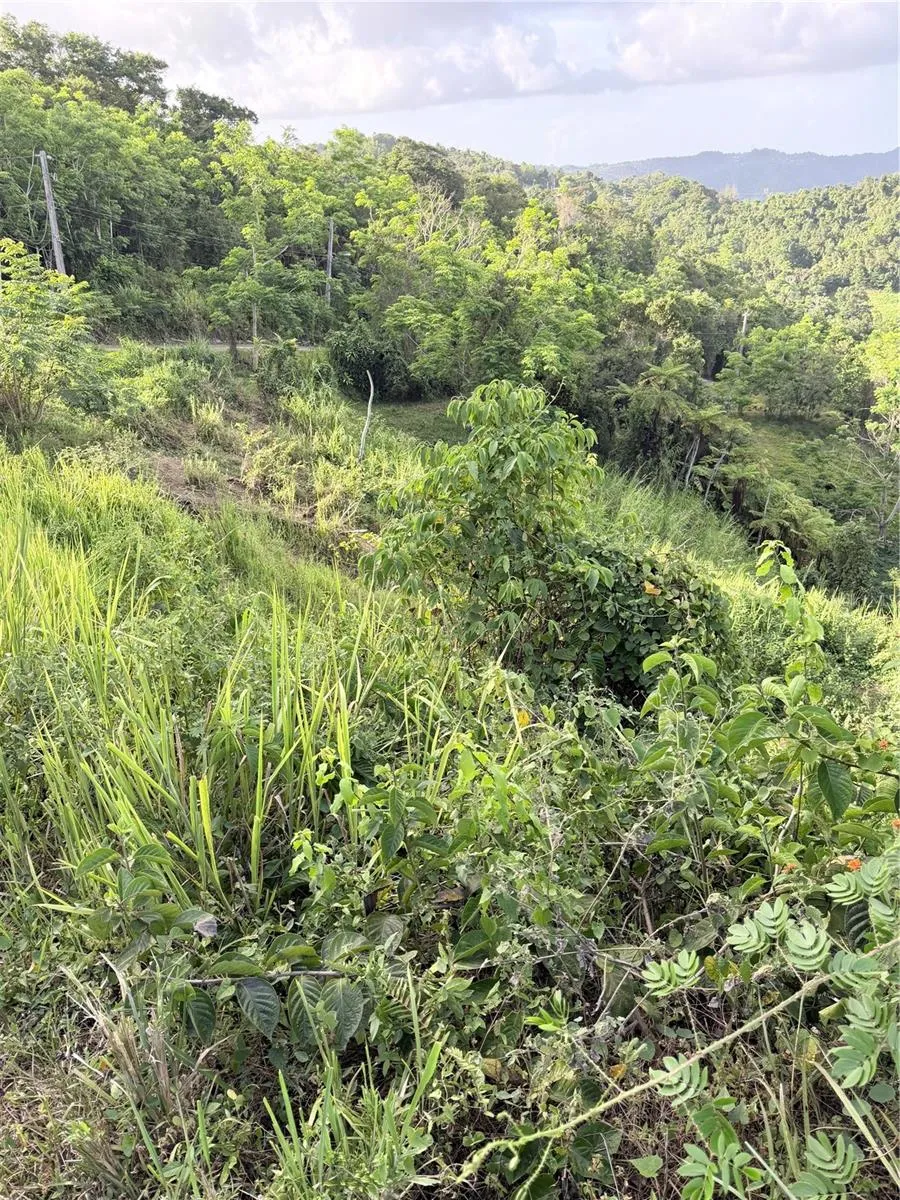 PR 785 KM 2.0 #4 Caguas, PR 00727