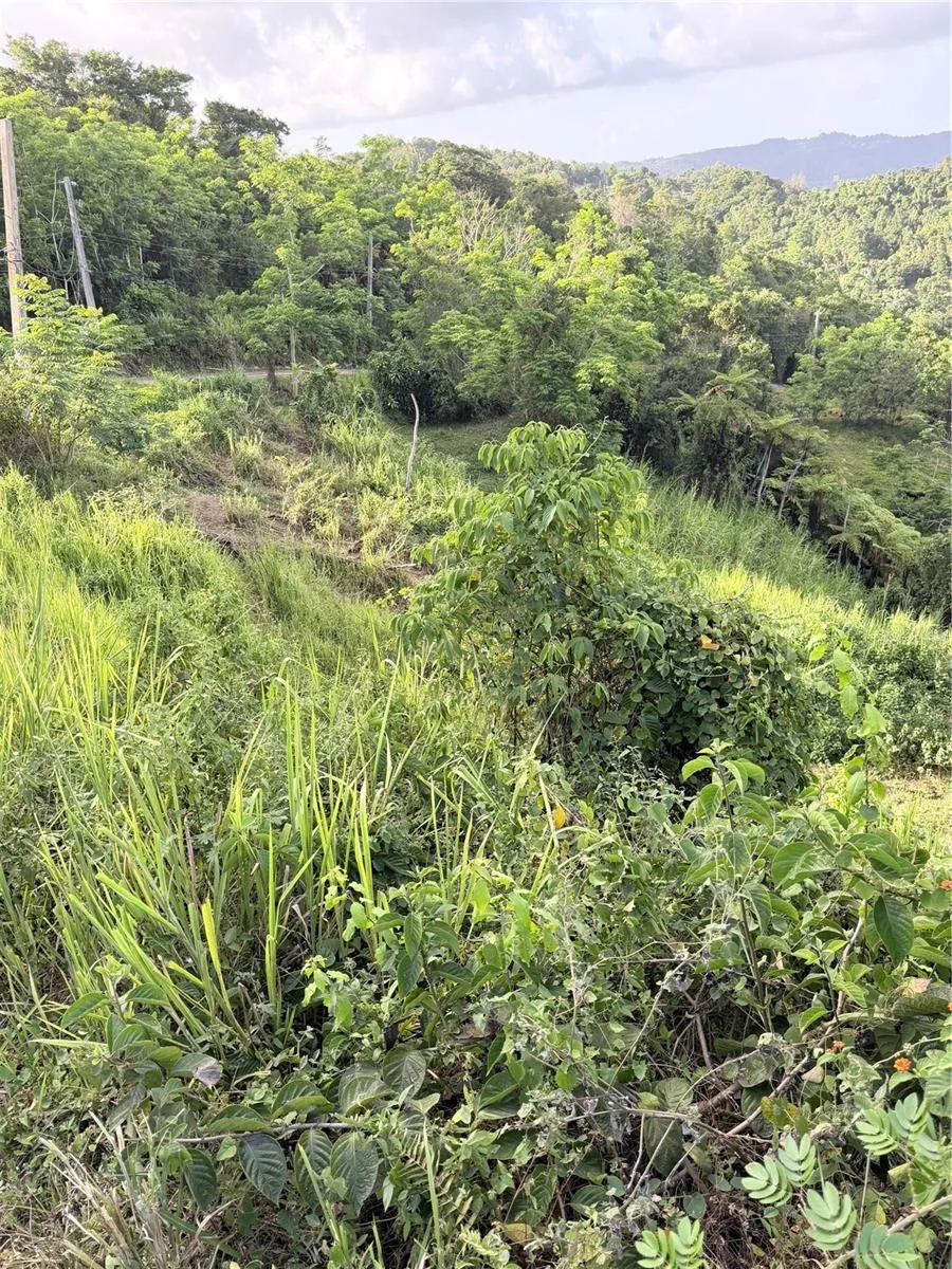 PR 785 KM 2.0 #4 Caguas, PR 00727