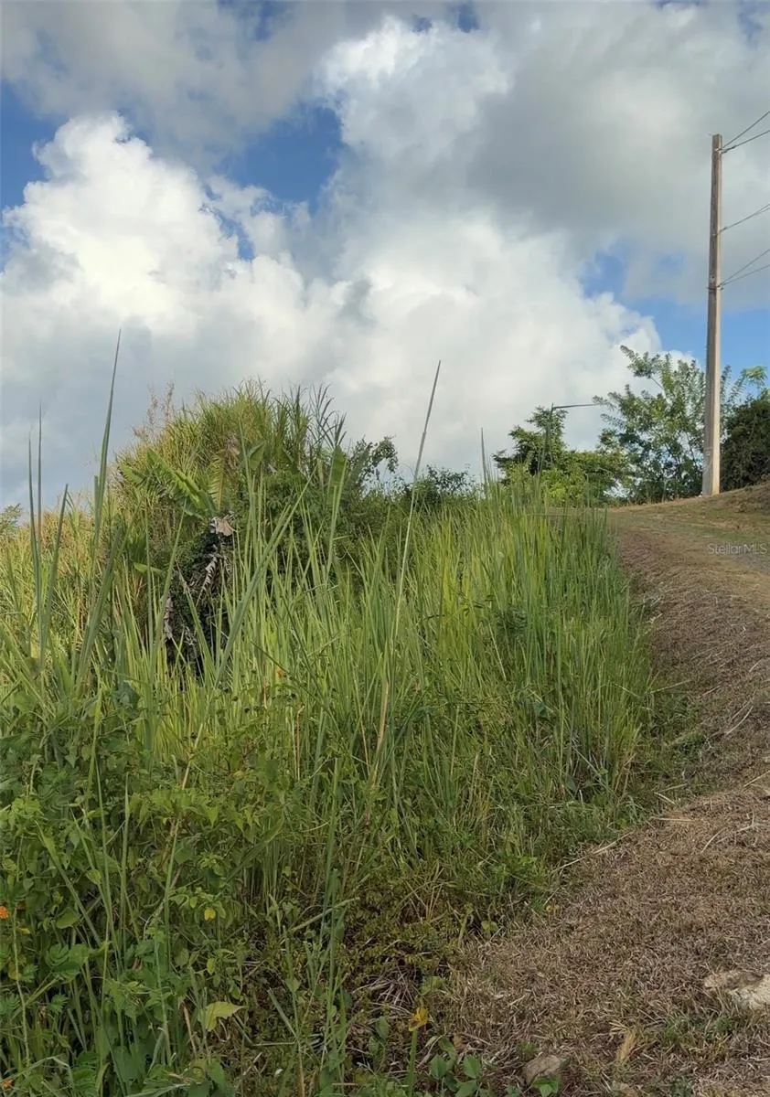 PR 785 KM 2.0 #4 Caguas, PR 00727