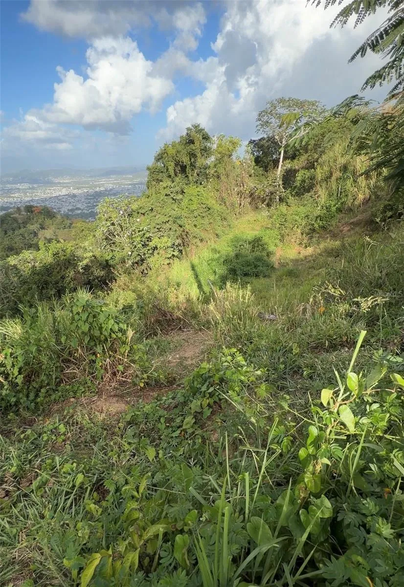 PR 785 KM 2.0 #4 Caguas, PR 00727