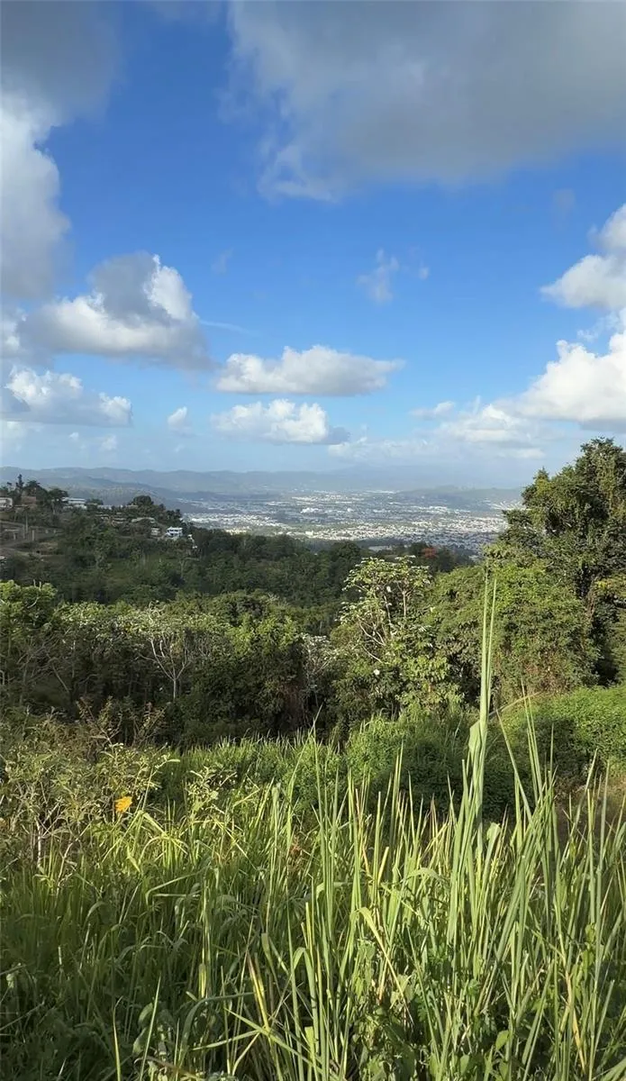PR 785 KM 2.0 #4 Caguas, PR 00727
