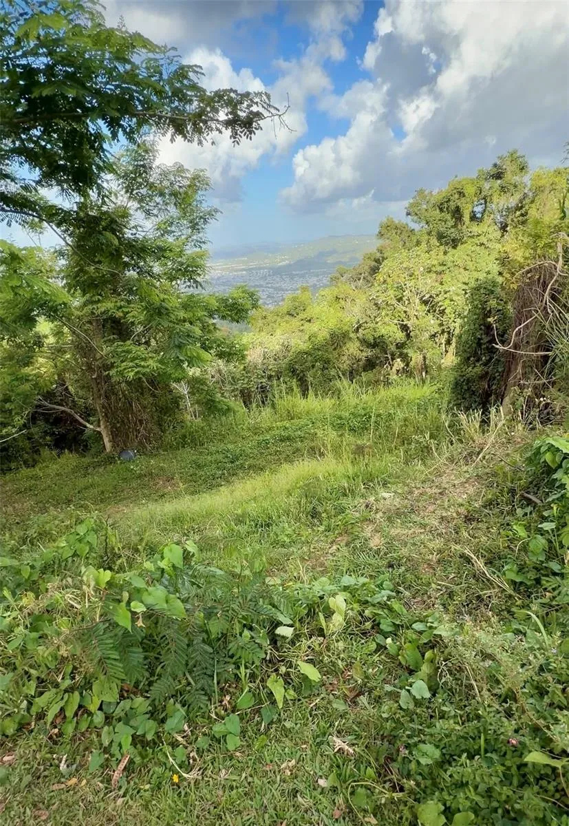PR 785 KM 2.0 #4 Caguas, PR 00727