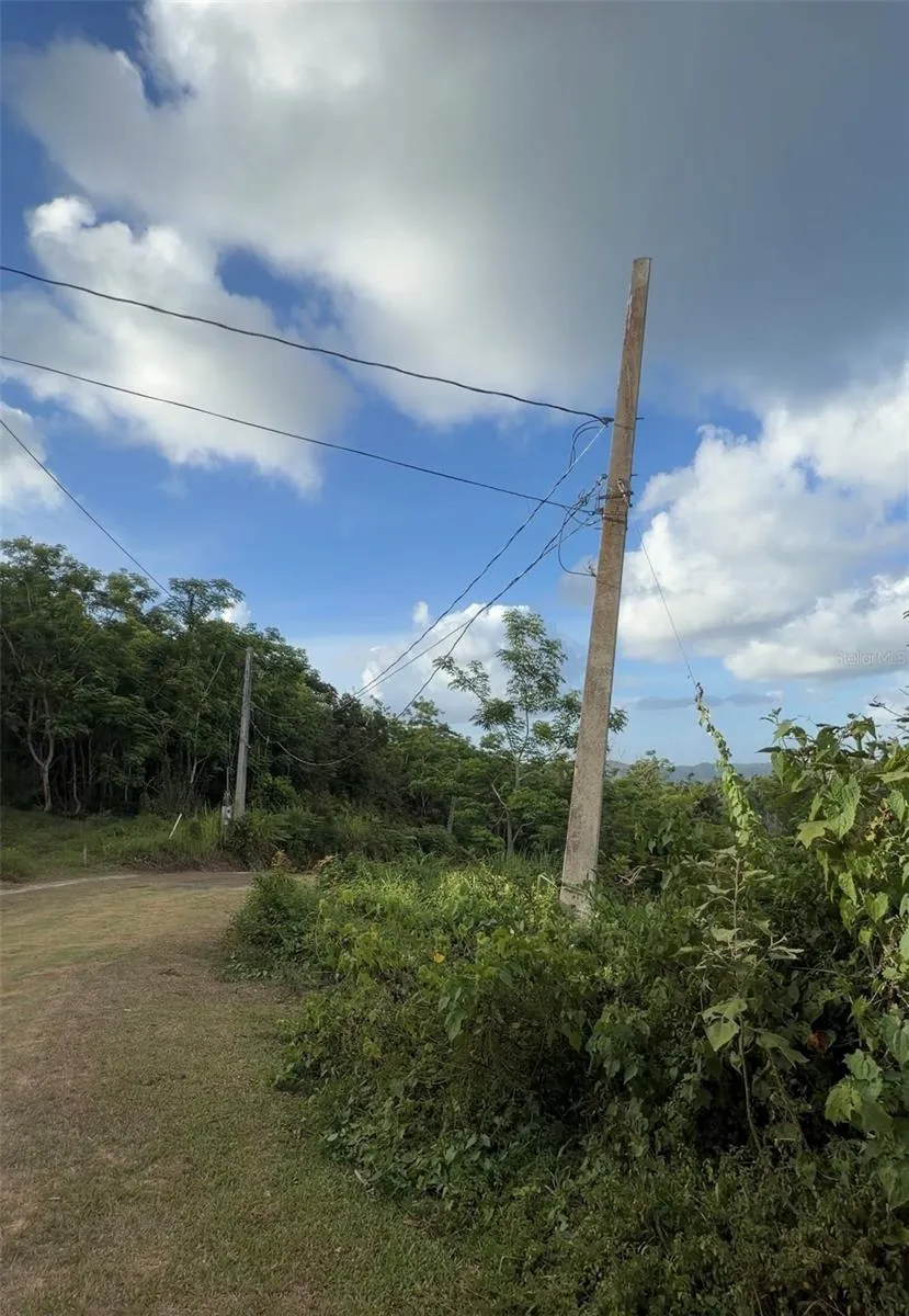 PR 785 KM 2.0 #4 Caguas, PR 00727