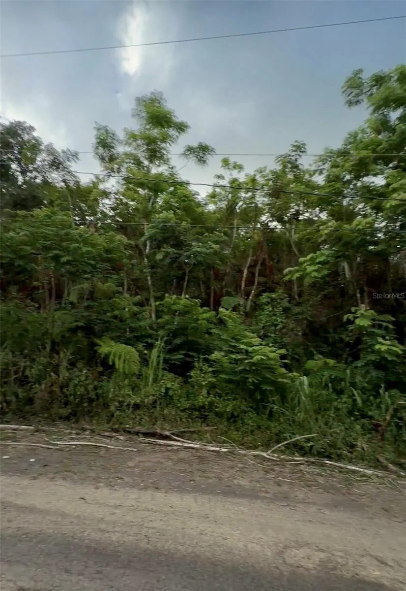PR 785 KM 2.0 #4 Caguas, PR 00727