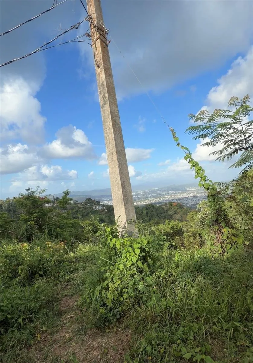 PR 785 KM 2.0 #4 Caguas, PR 00727