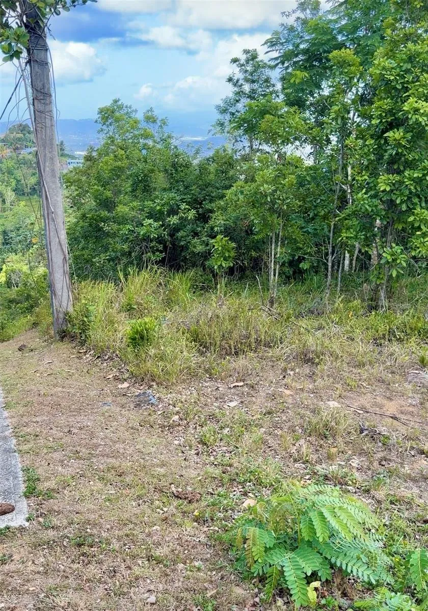 PR 785 KM 2.0 #4 Caguas, PR 00727