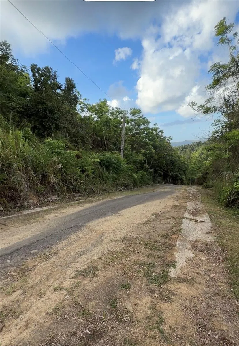 PR 785 KM 2.0 #4 Caguas, PR 00727