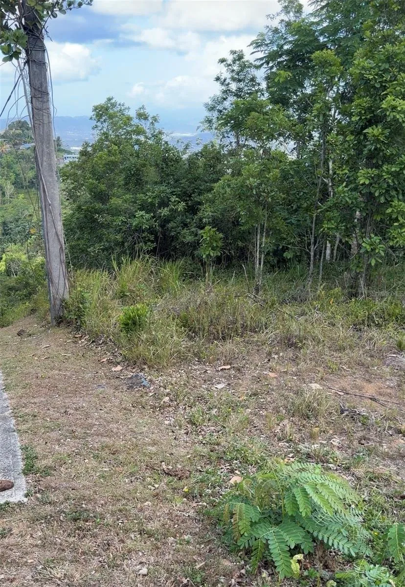 PR 785 KM 2.0 #4 Caguas, PR 00727
