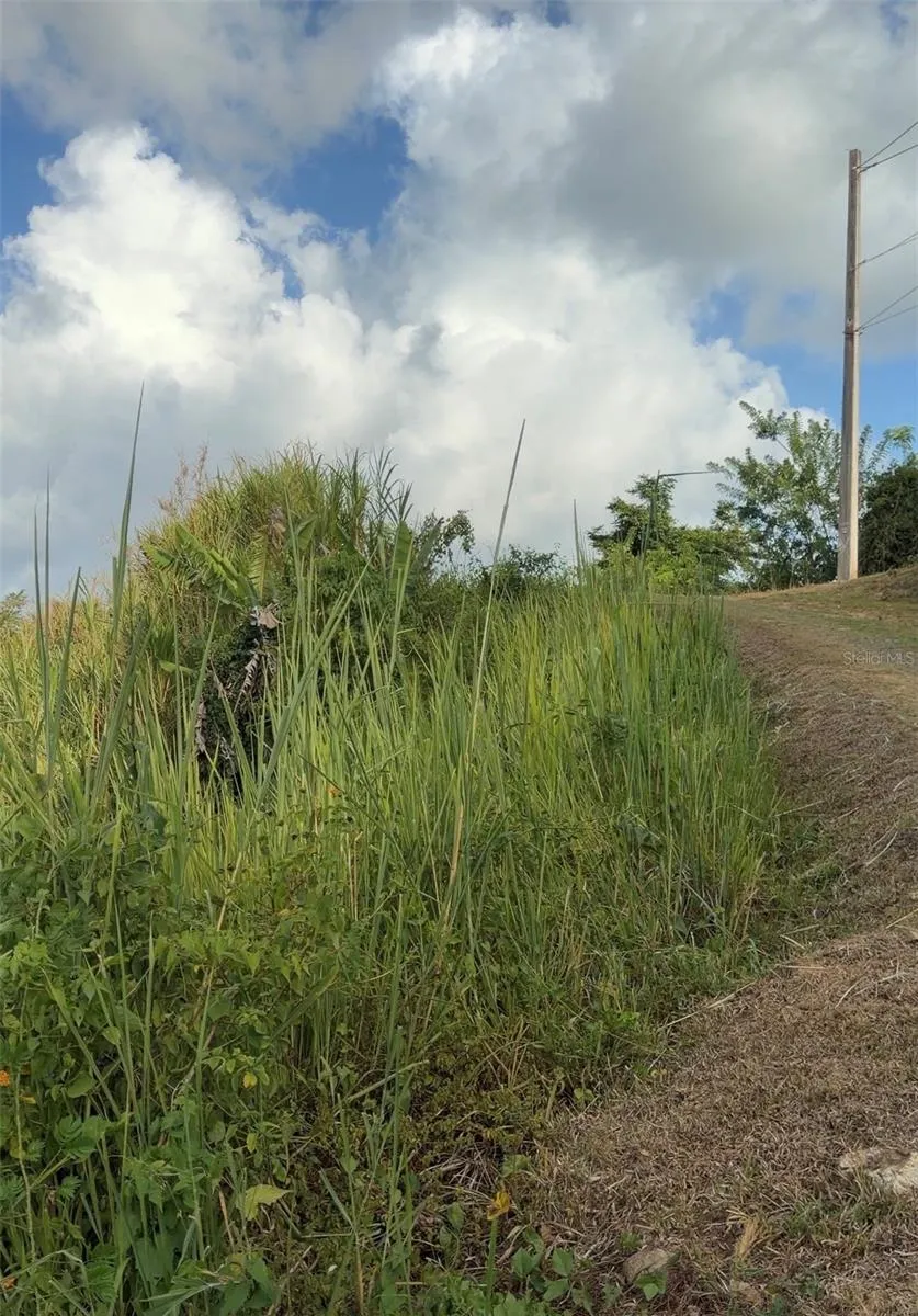 PR 785 KM 2.0 #4 Caguas, PR 00727