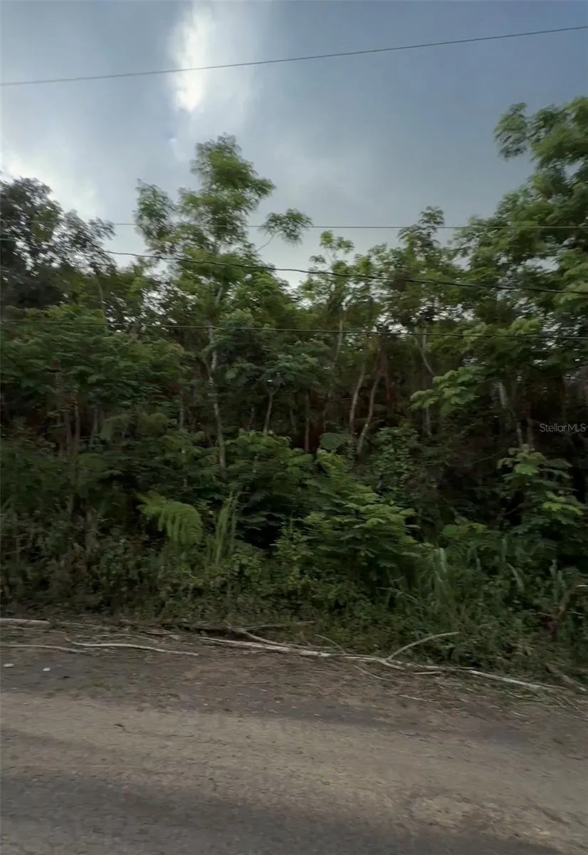 PR 785 KM 2.0 #4 Caguas, PR 00727