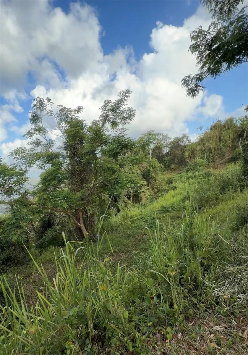 PR 785 KM 2.0 #4 Caguas, PR 00727