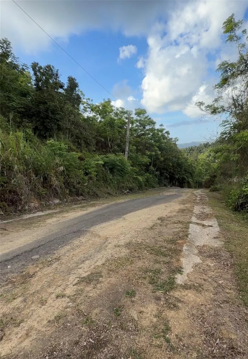 PR 785 KM 2.0 #4 Caguas, PR 00727
