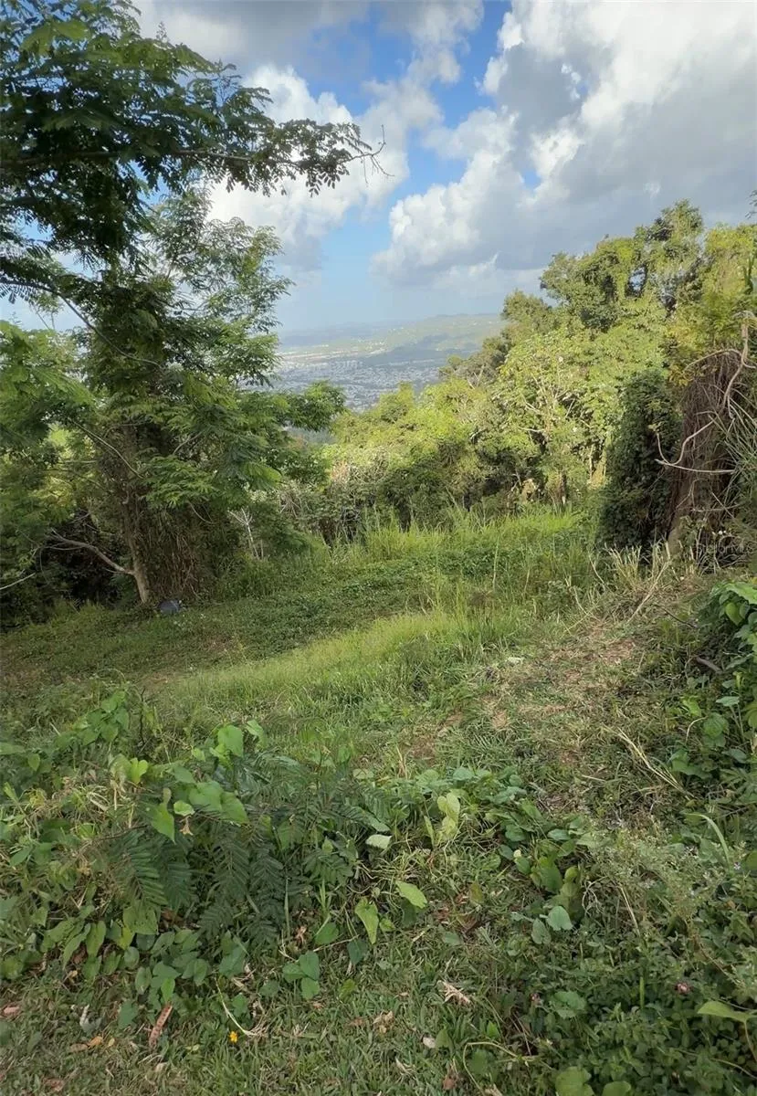 PR 785 KM 2.0 #4 Caguas, PR 00727