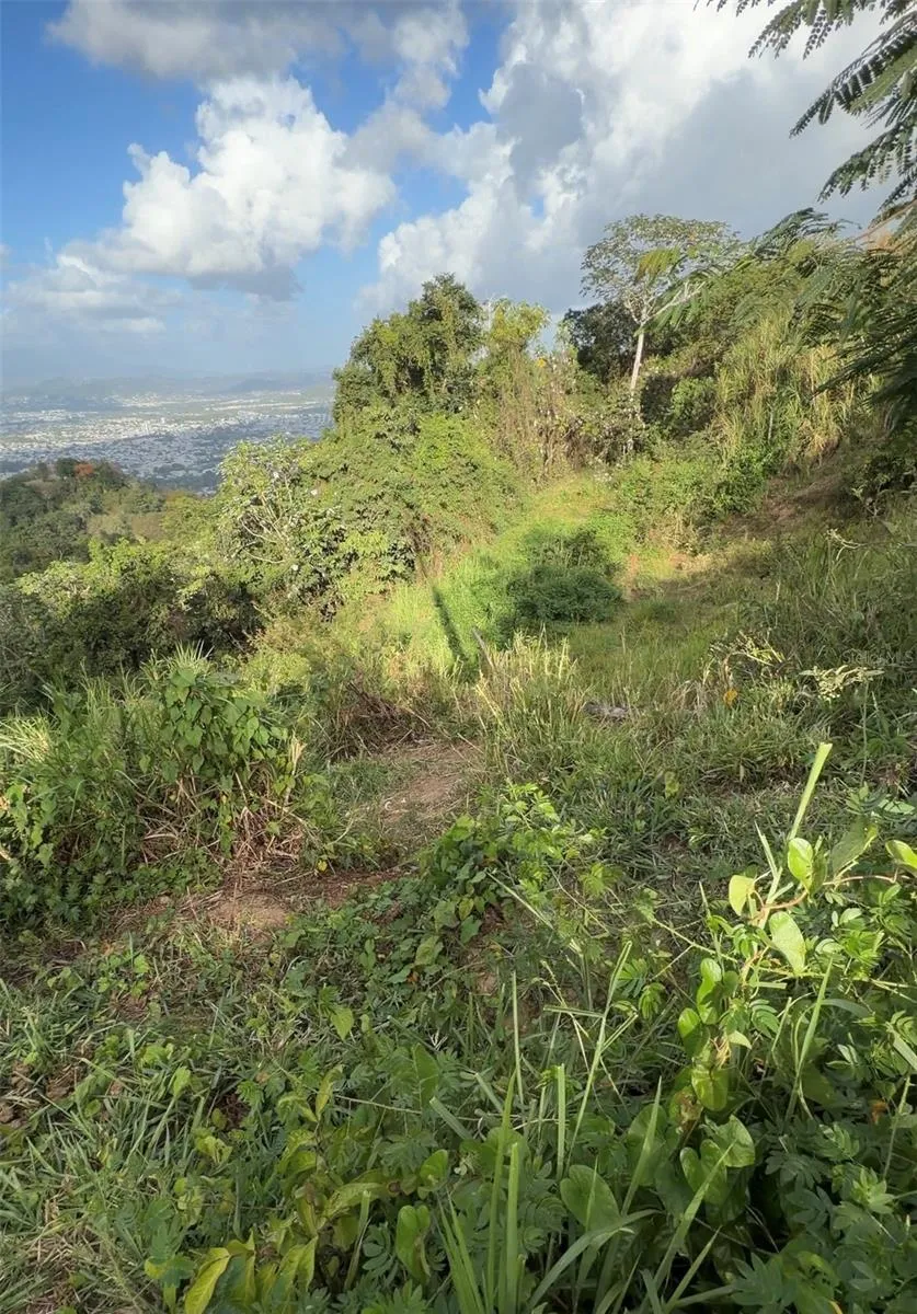 PR 785 KM 2.0 #4 Caguas, PR 00727