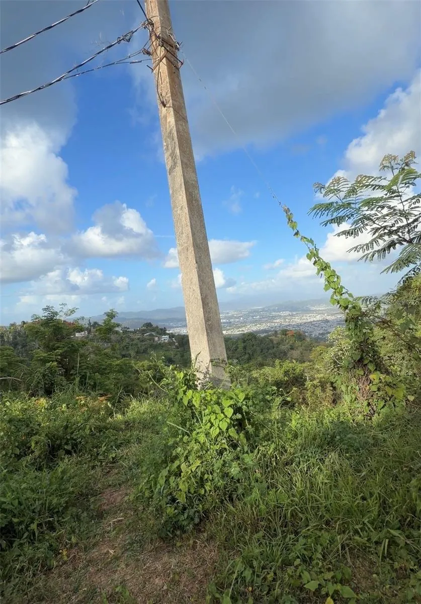 PR 785 KM 2.0 #4 Caguas, PR 00727