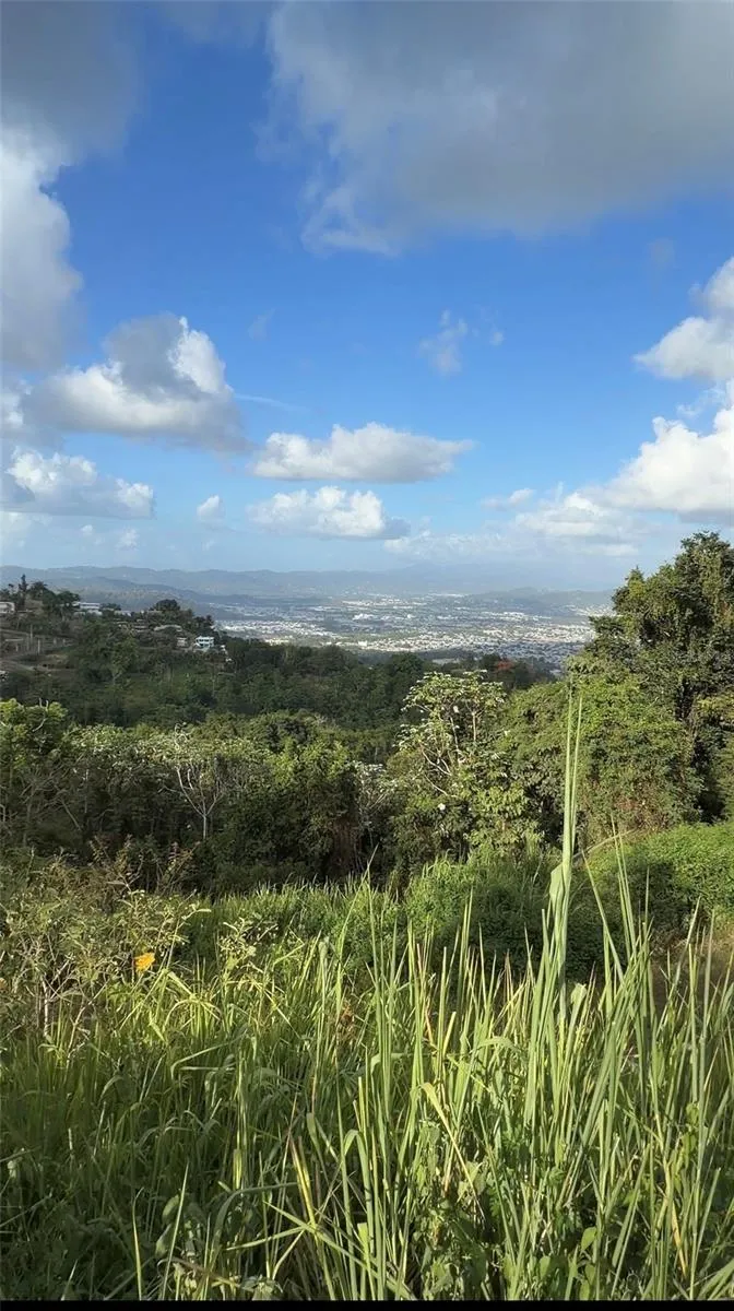 PR 785 KM 2.0 #4 Caguas, PR 00727