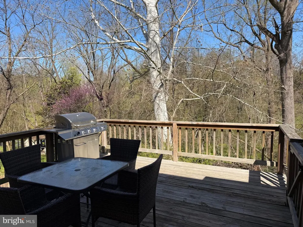 220 BALLIGOMINGO ROAD Conshohocken, PA 19428