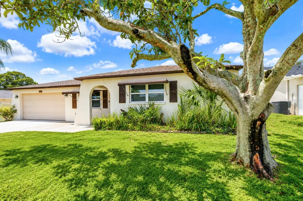 8811 MARTINIQUE LANE Port Richey, FL 34668