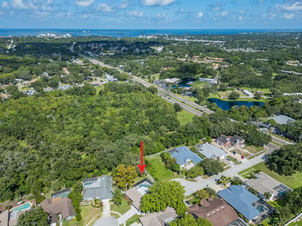 1967 CASTILLE DRIVE Dunedin, FL 34698