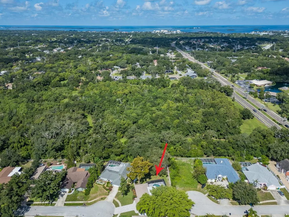 1967 CASTILLE DRIVE Dunedin, FL 34698